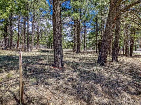 824 Antelope Avenue, Pagosa Springs, CO 81147