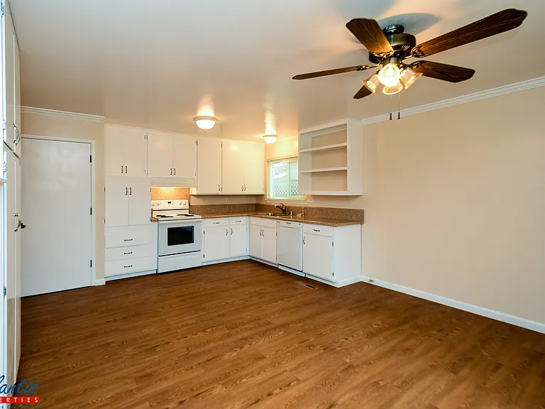 3803 Cefalu Dr — Photo 7