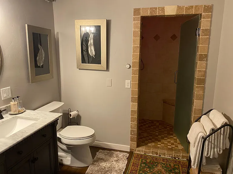 master shower and steam room