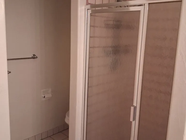master bath shower