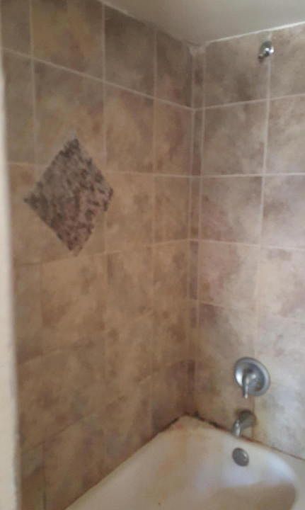 2nd image of 10716 SE 131st Pl