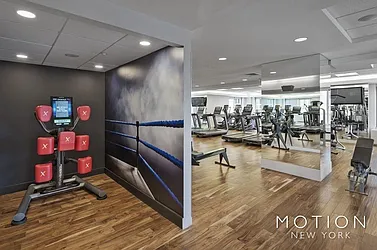 Rented by MOTION New York