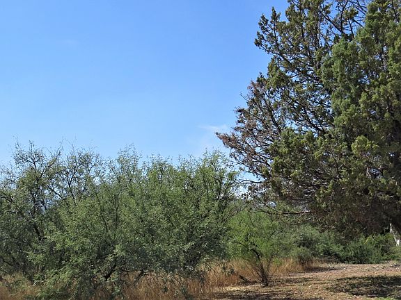 3rd image of 0 Mesquite