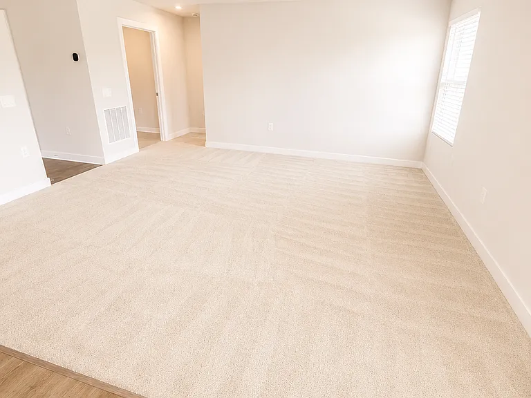 13 Holly Fern Ln — Photo 4