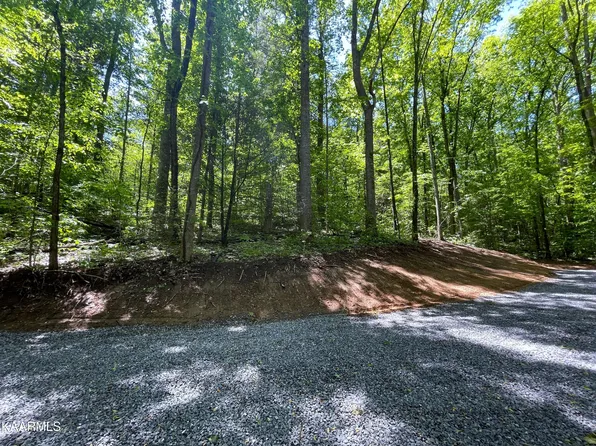 Cosby Hwy, Cosby, TN 37722