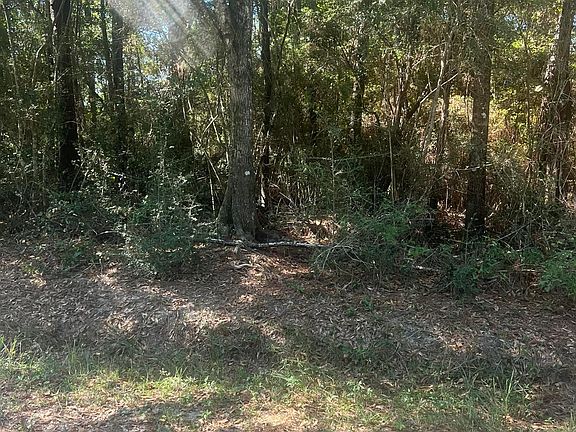 3rd image of Darling Rd