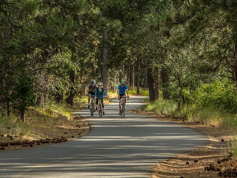 Bike Trail