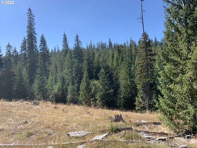 0 Forrest Ln, La Grande, OR, 97850