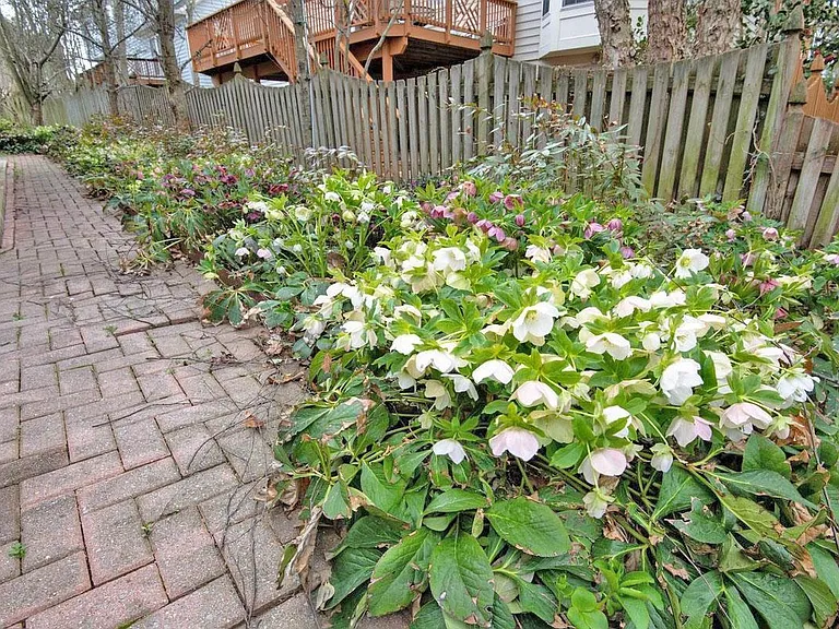 12982 Highland Oaks Ct — Photo 17