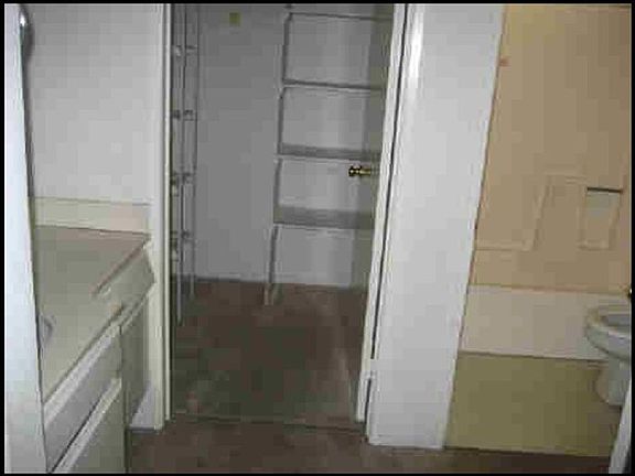 Closet and Vanity Area