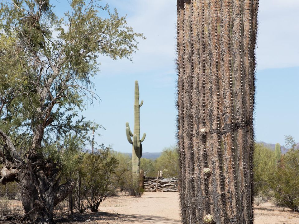 1st image of 12125 W Saguaro Park Ln