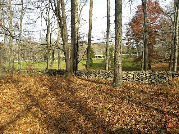 View of Canine College across the Street