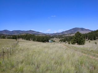 335 Nancy Ann Arroyo, Guffey, CO 80820