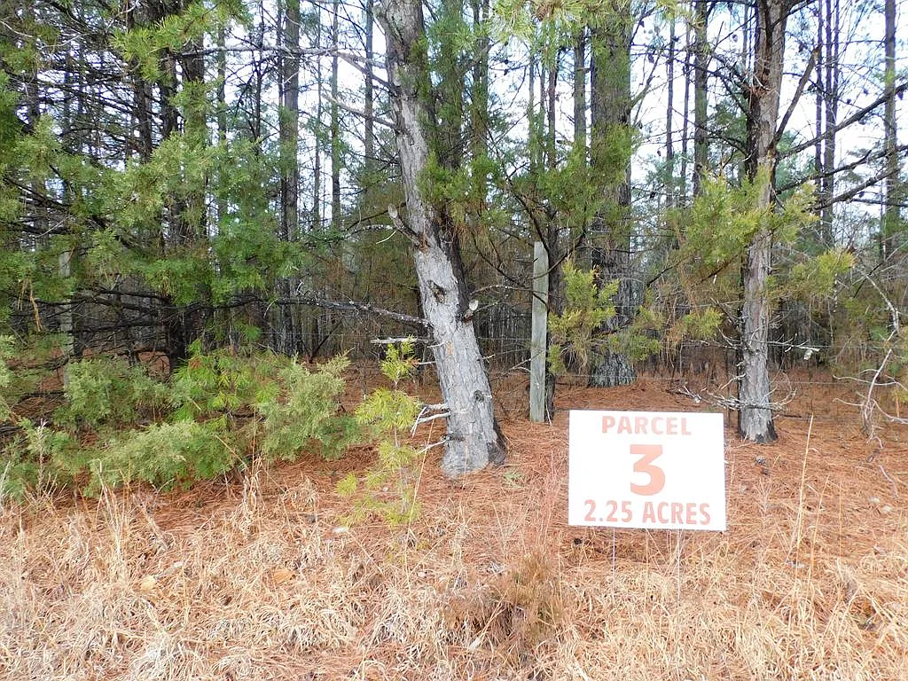 Carr Ln photo 1