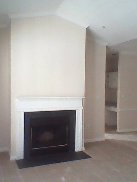 Vaulted Ceilings and Fireplace