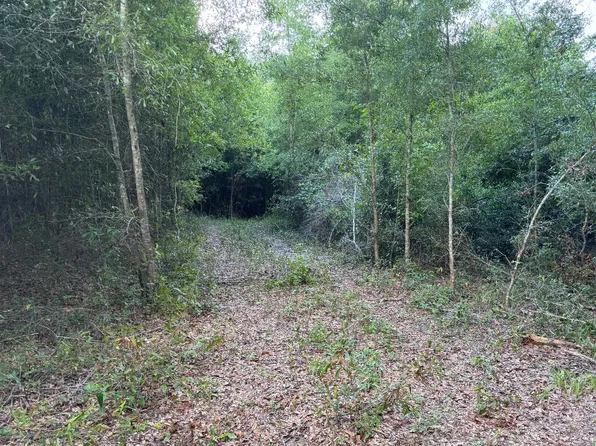 0 NW Lake Jeffery Rd, Lake City, FL 32055