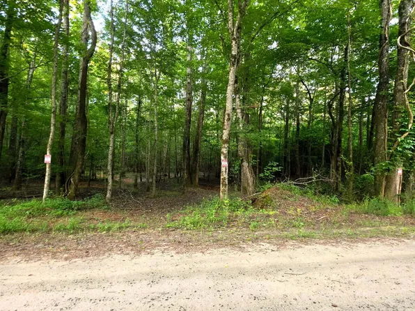 22 Gordon Rd, Forsyth, GA 31029