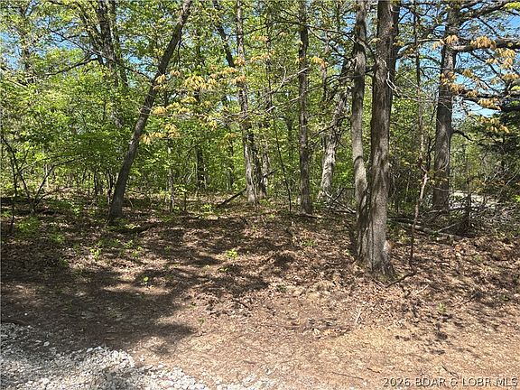 4th image of 4.92 Ivy Bend Rd