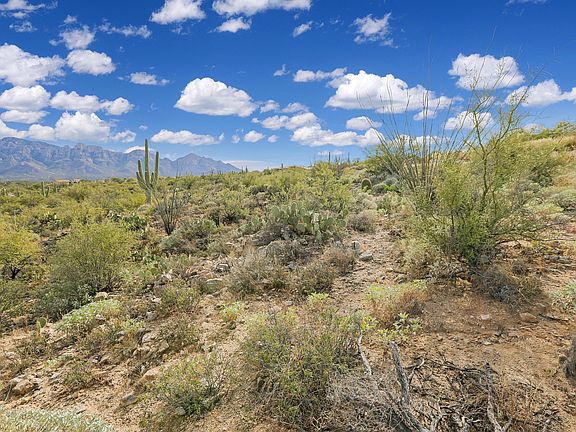 5th image of 14024 N Flint Peak Pl #490