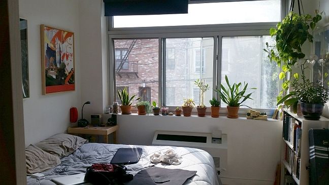 1st image of 296 Stockholm St APT 3R