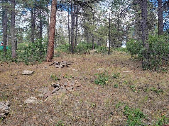 4th image of 481 Oakridge Drive