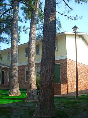 2nd image of 3080 Rice Mill Rd APT F5