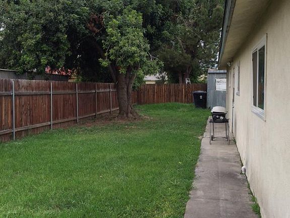 Back yard