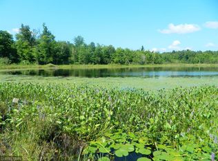 LOT 3 Cranberry Marsh Rd, Webster, WI 54893