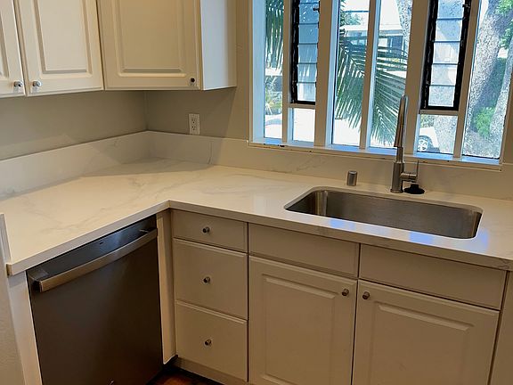 new sink with dishwasher