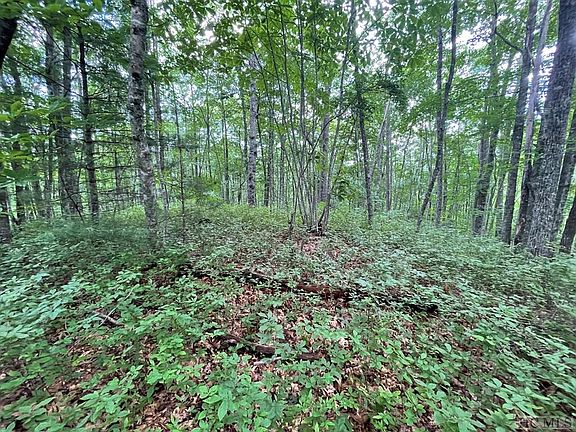 5th image of D53 Rye Mountain Drive
