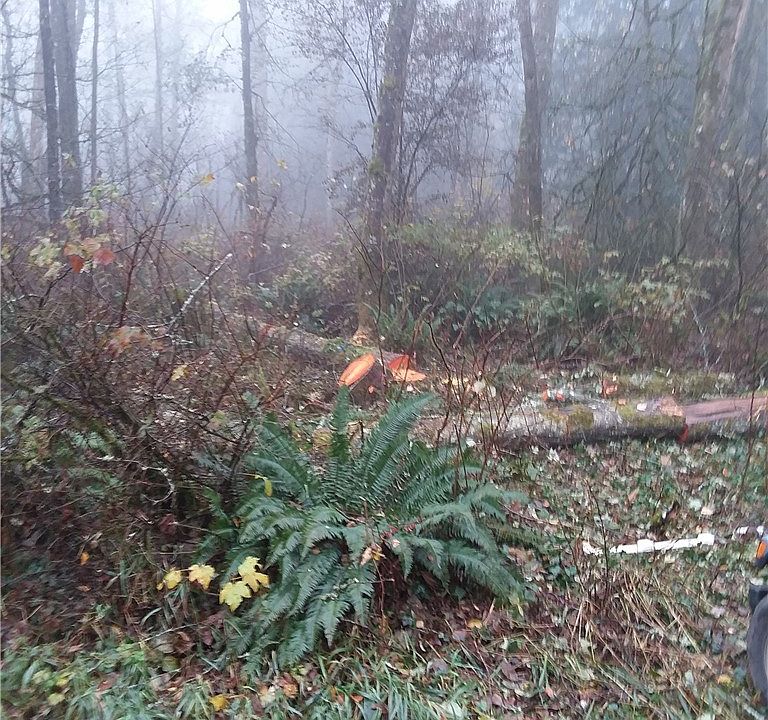 2nd image of 0 108th St NE