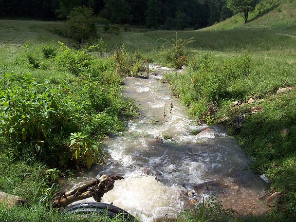 5th image of 0 Tazewell Hwy