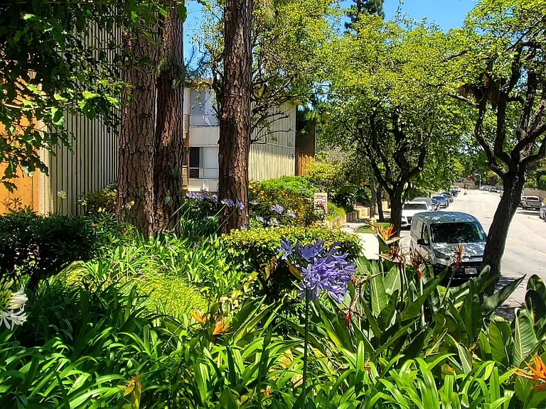 6876 Los Verdes Dr #4 — Photo 10