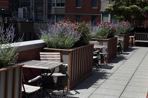 Rented by The Monterey | media 17