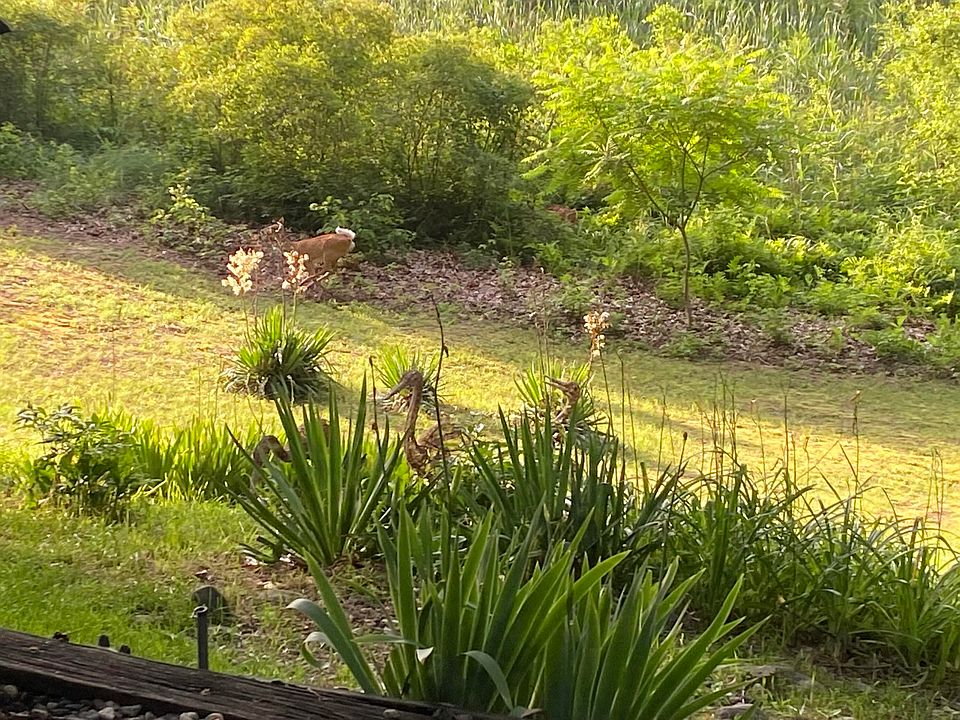 10221 Guernsey Lake Rd, Delton, MI 49046 Zillow