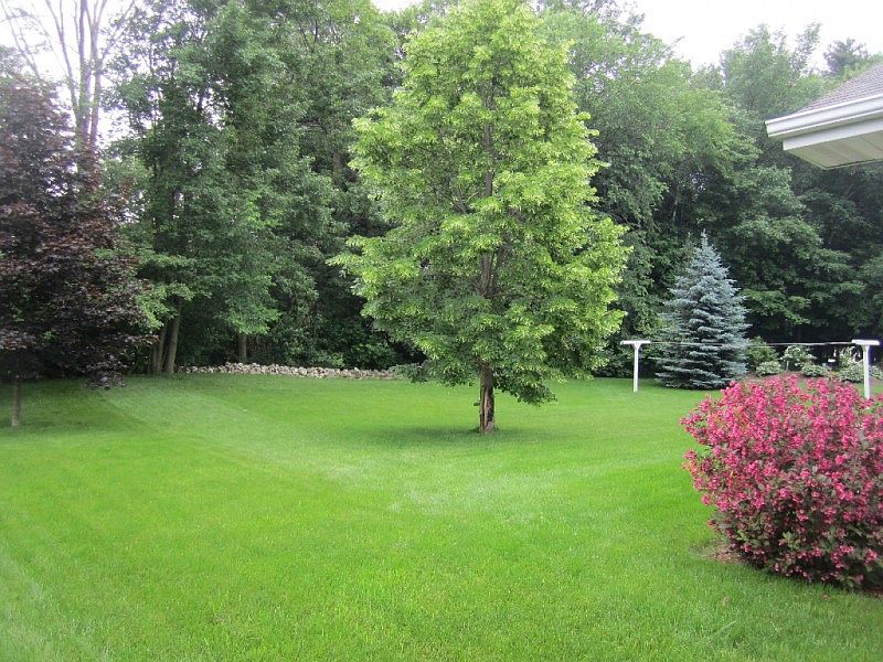 2nd image of 1806 Pine Tree Ct