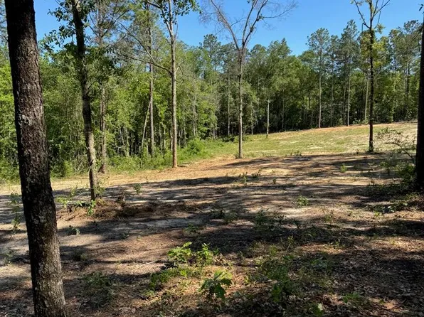 619 Lakeside Dr, Carriere, MS 39426