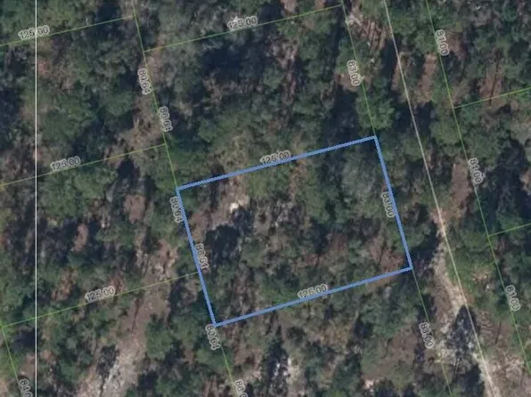 208 Sun Flower Drive, Lake Placid, FL 33852