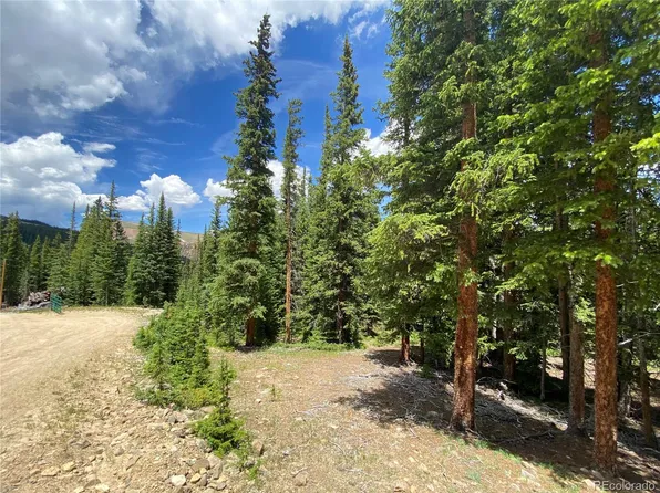 548 Bum Drive LOT 893, Fairplay, CO 80440