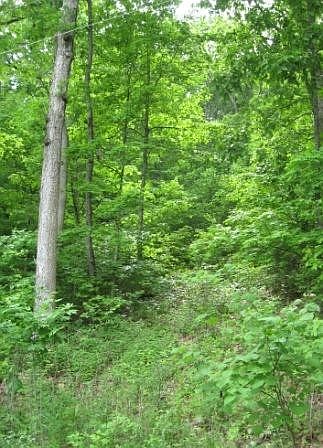 2nd image of 2934 Highway 79