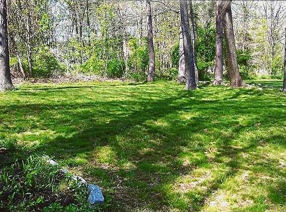 5th image of 16 Viking Ln