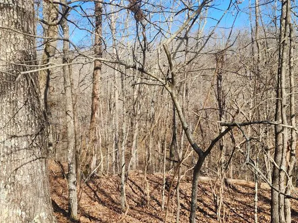 0 Poplar Dr, Holladay, TN 38341
