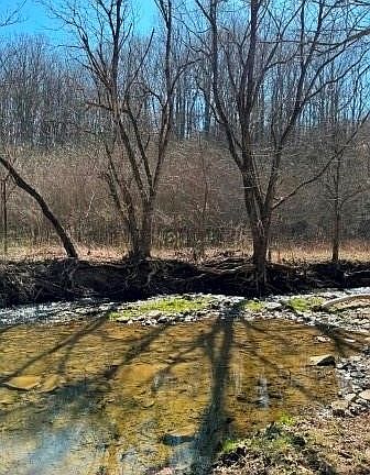 3rd image of 0 Brush Run Rd