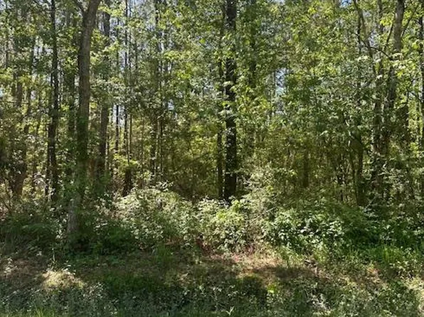 LOT 43 E Lamar St, Bay Saint Louis, MS 39520