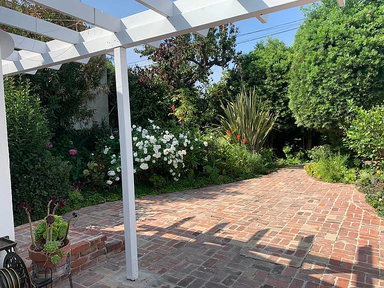 Lush mature garden with fruit trees and secret pathways. Maintained by gardening service.