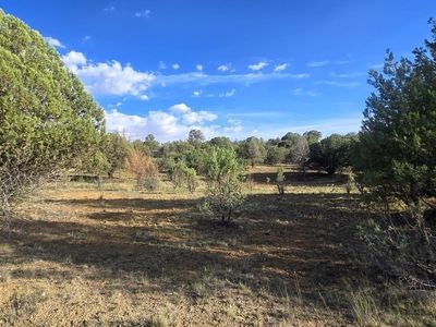 4533 Arrowhead Rd, Silver City, NM, 88061