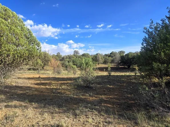 4533 Arrowhead Rd, Silver City, NM 88061