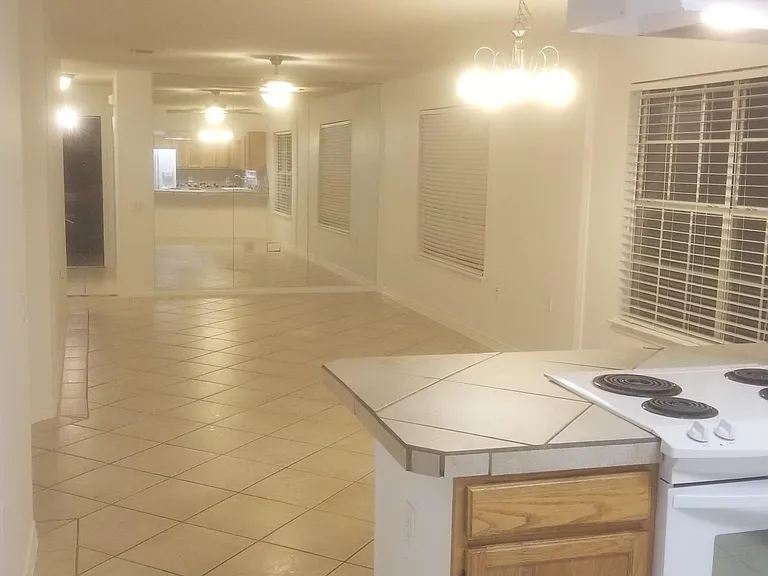 219 Wildflower Ln — Photo 12
