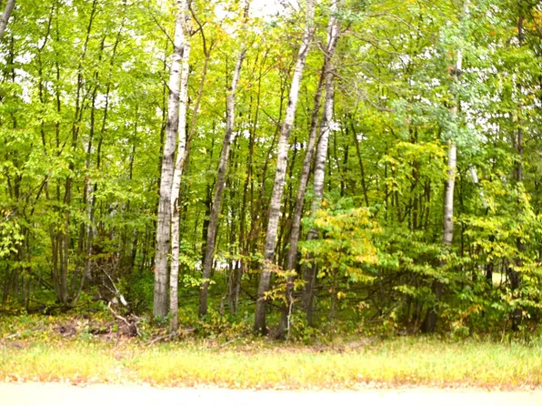 27 Oak Dr, Browerville, MN 56438
