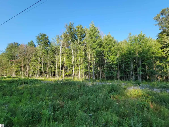812 N Coleman Rd, Shepherd, MI 48883